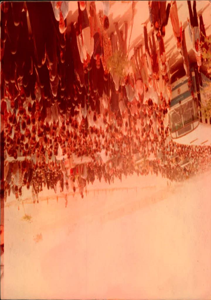 فاقد تصویر